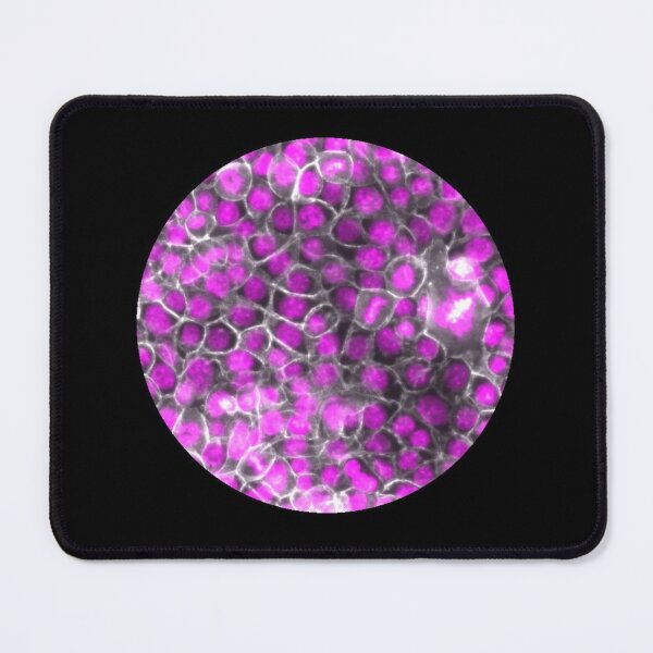 Item preview, Membranes and nuclei - pink and silver designed and sold by ArtByScience.