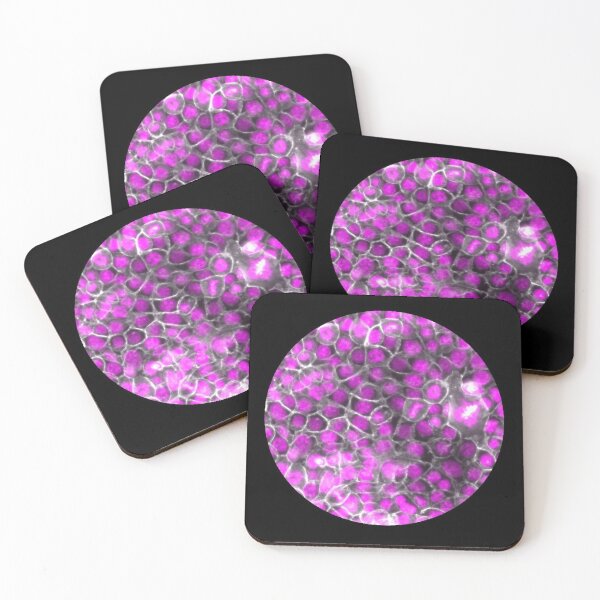 Item preview, Membranes and nuclei - pink and silver designed and sold by ArtByScience.