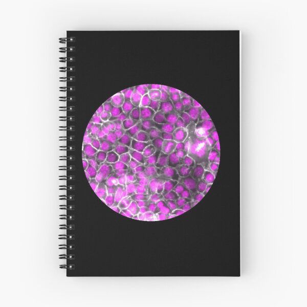 Item preview, Membranes and nuclei - pink and silver designed and sold by ArtByScience.