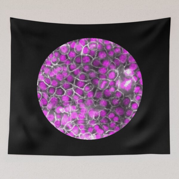 Item preview, Membranes and nuclei - pink and silver designed and sold by ArtByScience.