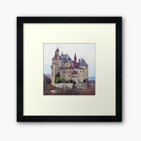 Framed Print