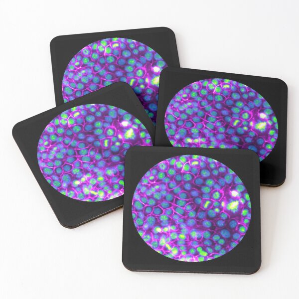 Item preview, Membranes and nuclei - neon blue green and pink designed and sold by ArtByScience.