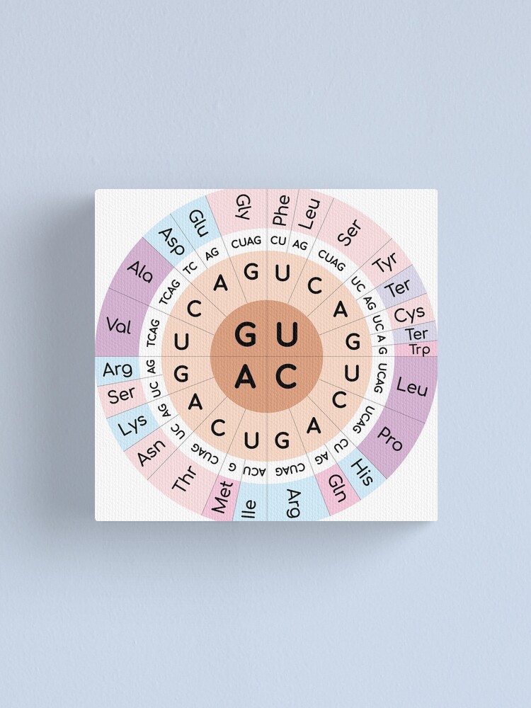 "Codon chart" Canvas Print for Sale by MayumiArt Redbubble