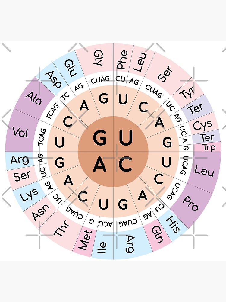 Codon chart Premium Matte Vertical Poster sold by Christopher Hunt