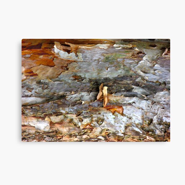 Tidal Surge Canvas Print