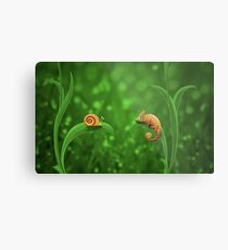 Snail and Chameleon Metal Print