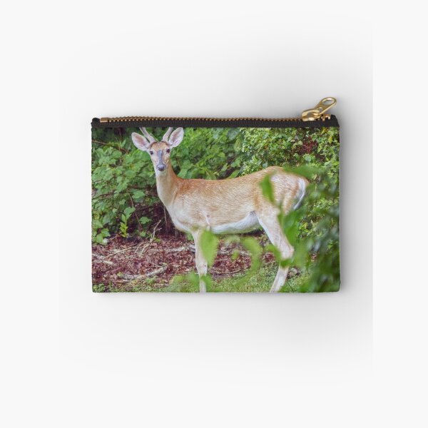 Item preview, Young Buck in Velvet designed and sold by Frankie Cat Photography.