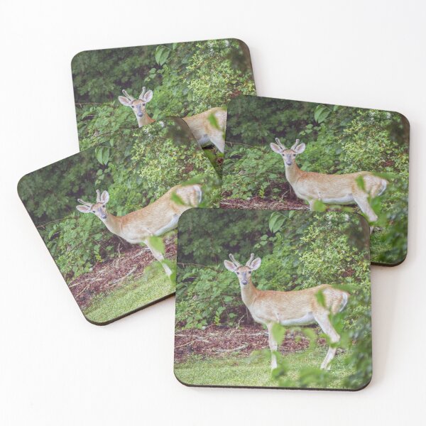 Item preview, Young Buck in Velvet designed and sold by Frankie Cat Photography.