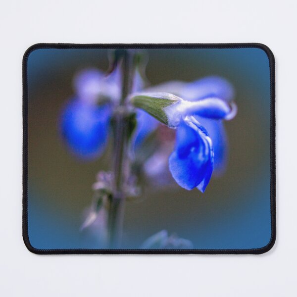 Item preview, Borage designed and sold by indiafrankk.