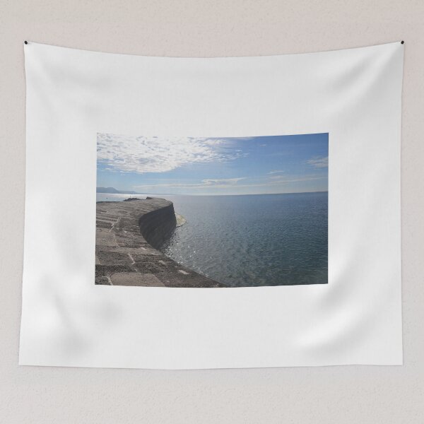 Item preview, Cob Wall......Lyme Regis, Dorset UK designed and sold by lynn carter.