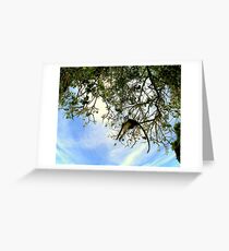 MONKEY CATCH.... Greeting Card