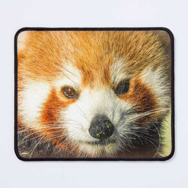 Item preview, Red panda designed and sold by indiafrankk.