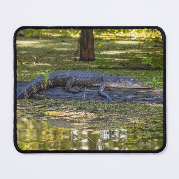 Item preview, Resting Alligator in the Swamp designed and sold by SafariByMarisa.