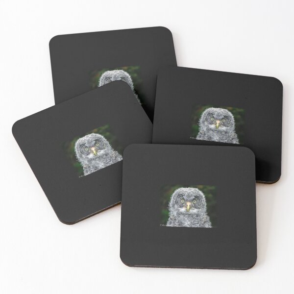 Item preview, Young Grey Owl Surprised designed and sold by Annariaart.