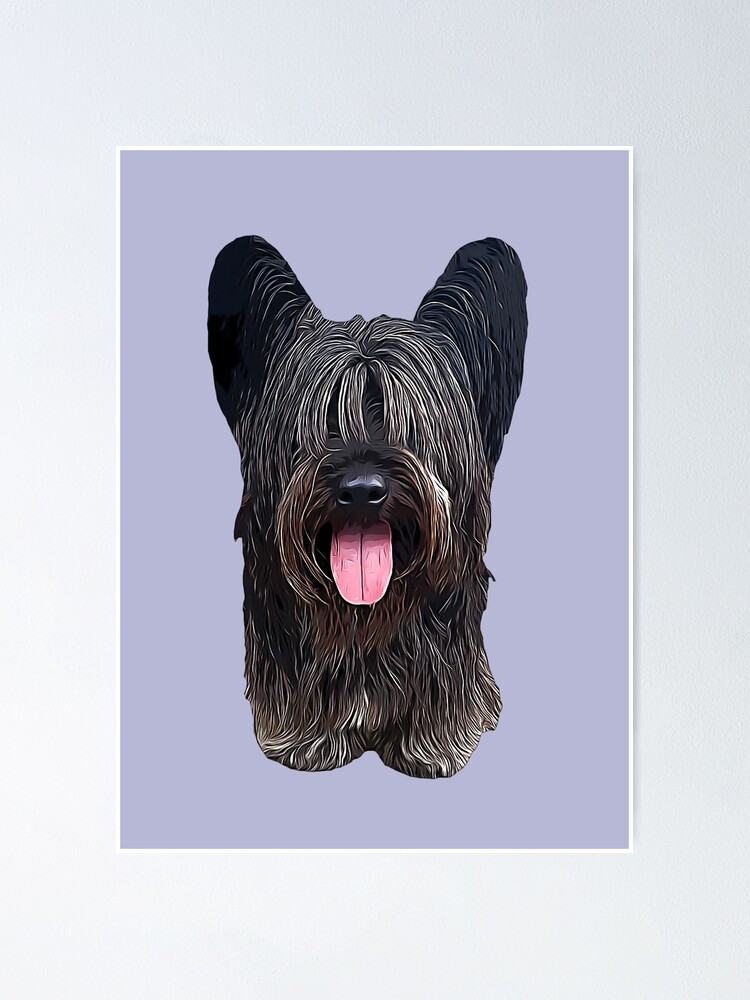 Skye Terrier