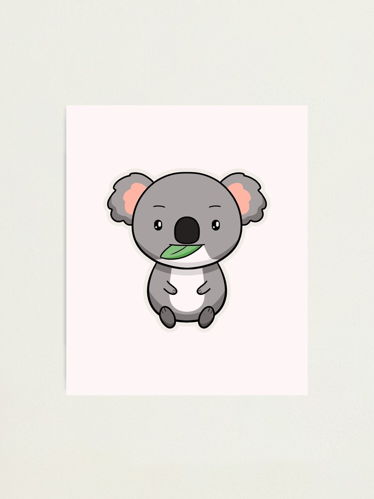 Sketchbook: Cute Koala Bear Sketchbook for Kids Animal Lovers to