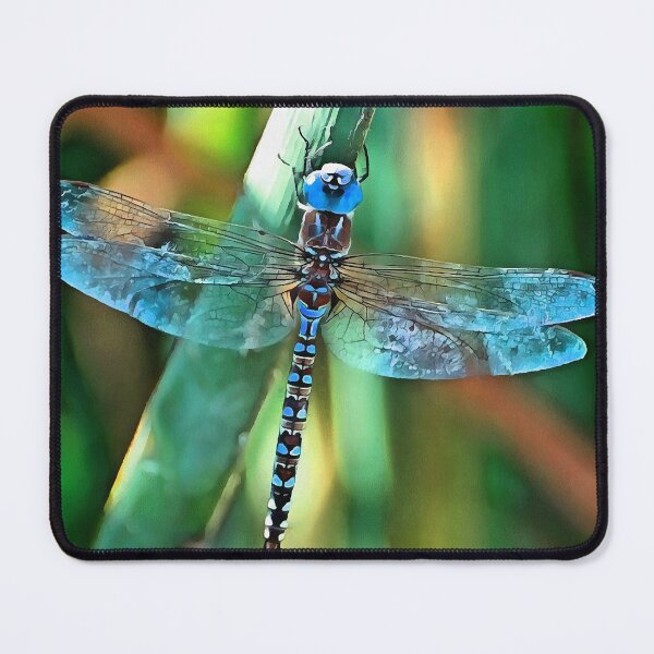 Item preview, Fantasy Dragonfly In Turquoise and Black designed and sold by taiche.