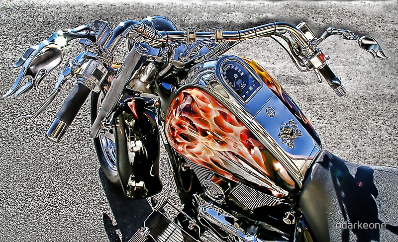 Blechschild Harley-Davidson Wild at heart 40x29CM *NA23222* 