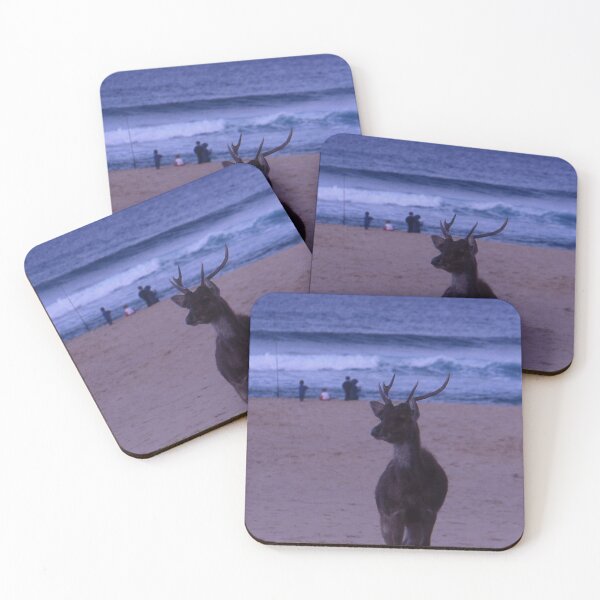 Item preview, Reindeer,Garie Beach, Australia 2000 designed and sold by muz2142.