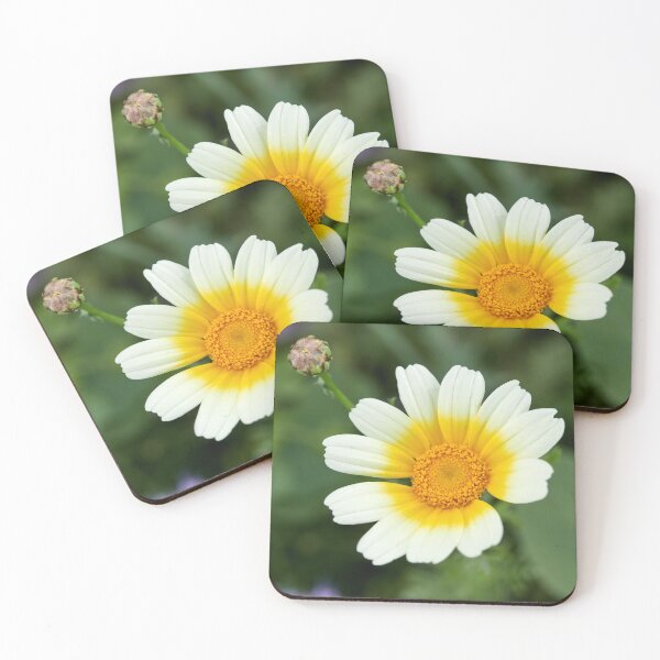 Item preview, Yellow eyed Crowndaisy chrysanthemum designed and sold by Jouko Lehto Photography.