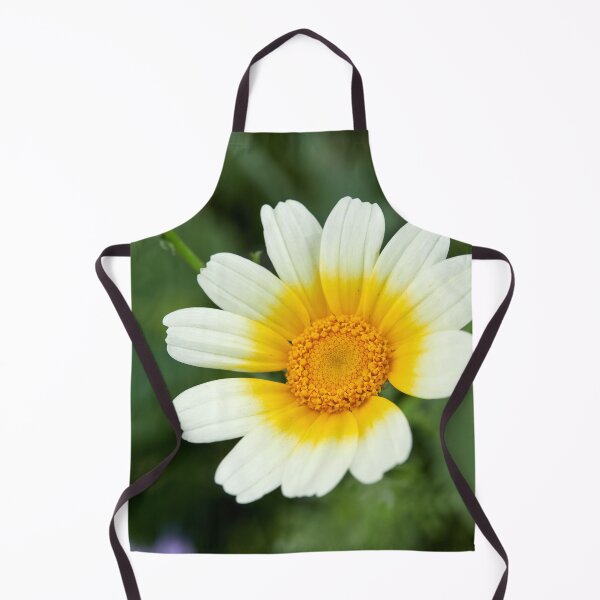 Item preview, Yellow eyed Crowndaisy chrysanthemum designed and sold by Jouko Lehto Photography.