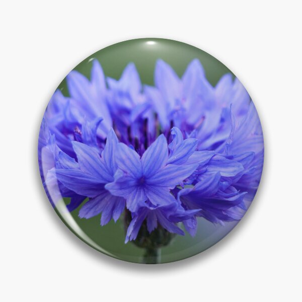 Item preview, The blue Cornflower designed and sold by Jouko Lehto Photography.