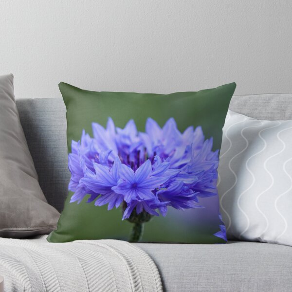Item preview, The blue Cornflower designed and sold by Jouko Lehto Photography.