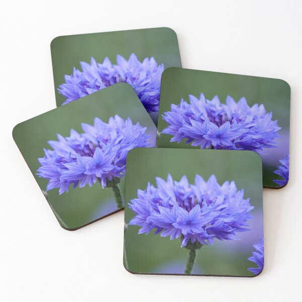Item preview, The blue Cornflower designed and sold by Jouko Lehto Photography.