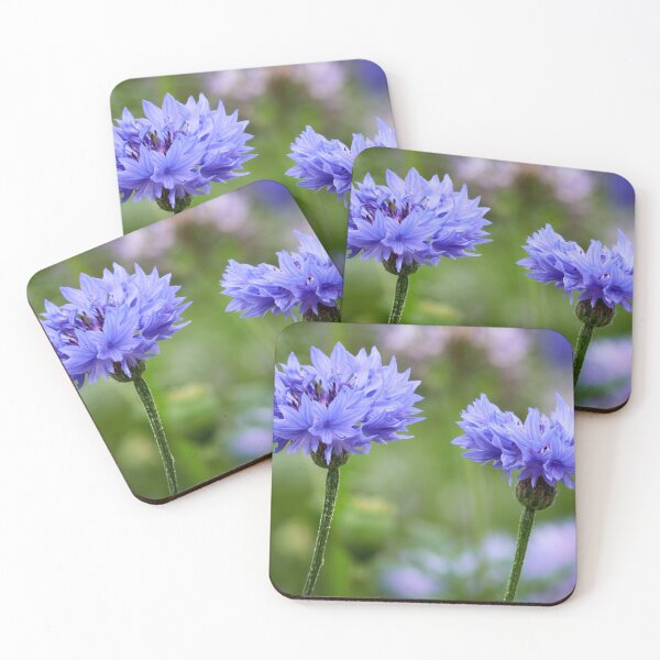 Item preview, Twins alike.  Cornflower designed and sold by Jouko Lehto Photography.