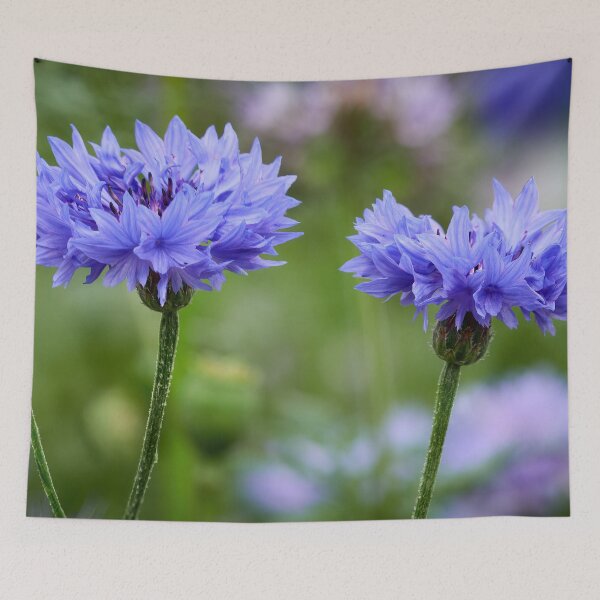 Item preview, Twins alike.  Cornflower designed and sold by Jouko Lehto Photography.