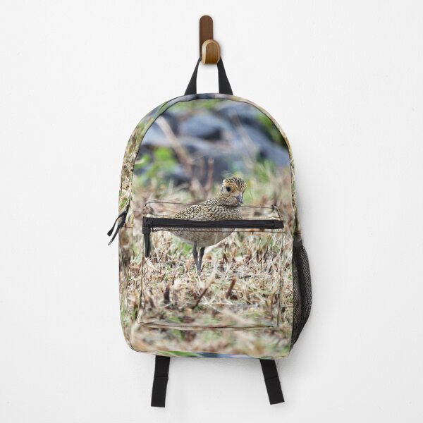 Item preview, Looks a tundra alike. European golden plover designed and sold by Jouko Lehto Photography.