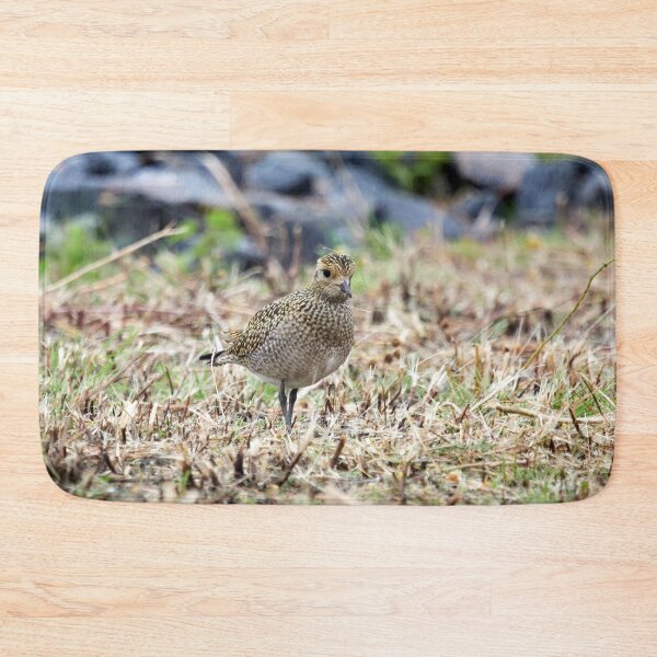 Item preview, Looks a tundra alike. European golden plover designed and sold by Jouko Lehto Photography.