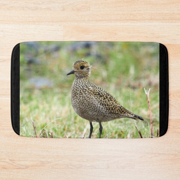 Item preview, Portrait model. European golden plover designed and sold by Jouko Lehto Photography.