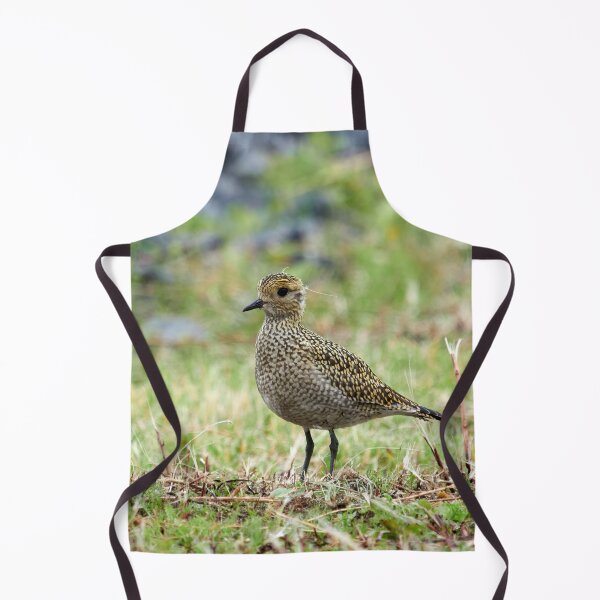 Item preview, Portrait model. European golden plover designed and sold by Jouko Lehto Photography.