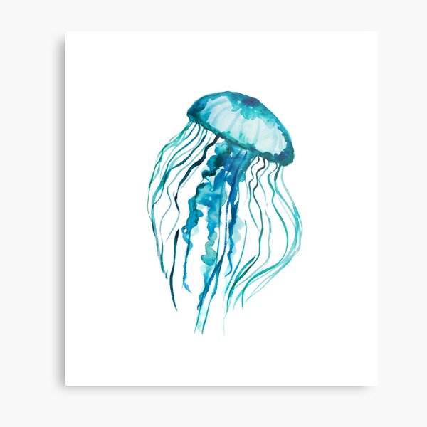 Aquarellquallen Metallbild