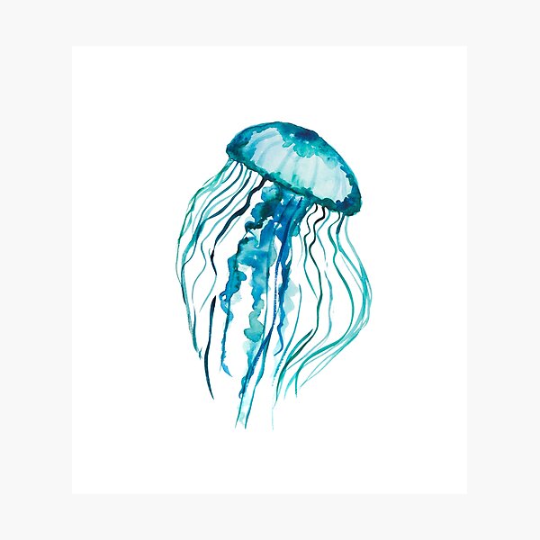 Watercolor Jellyfish Photographic Print