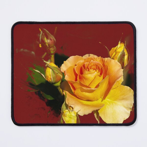 Item preview, Golden rose designed and sold by indiafrankk.