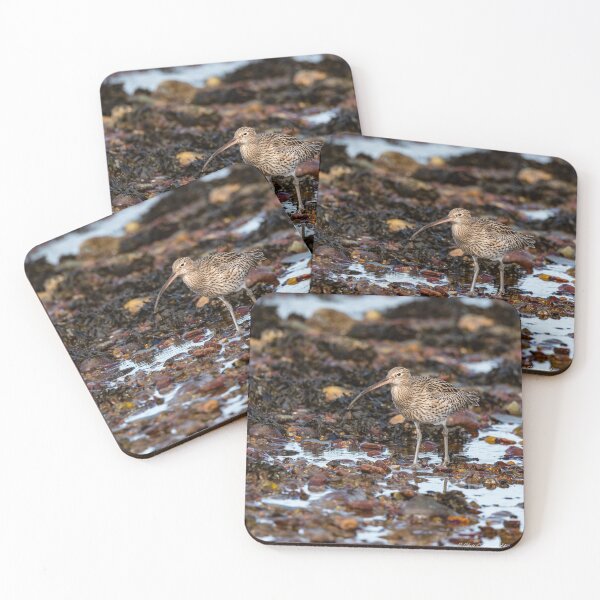 Item preview, Curlew hunting for food designed and sold by Chris Colclough.