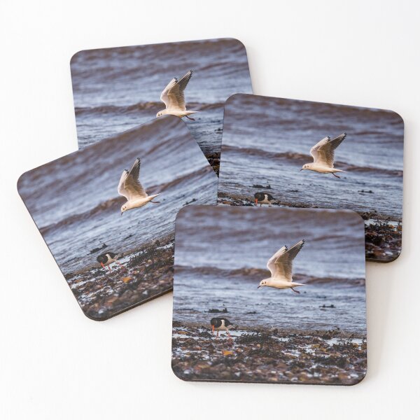 Item preview, Coming in to land for breakfast designed and sold by Chris Colclough.