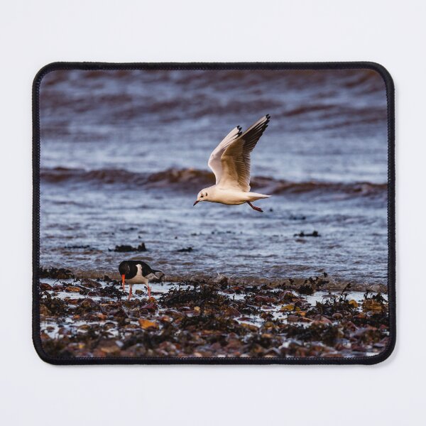 Item preview, Coming in to land for breakfast designed and sold by Chris Colclough.
