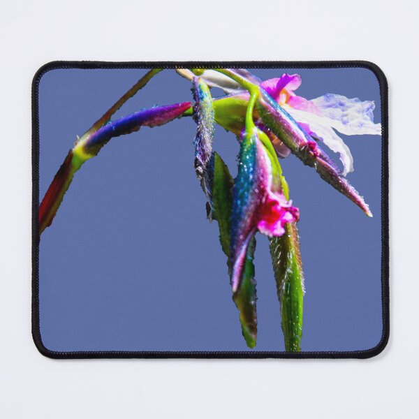 Item preview, Natures colours designed and sold by indiafrankk.