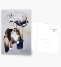 Puss n puss Postcards