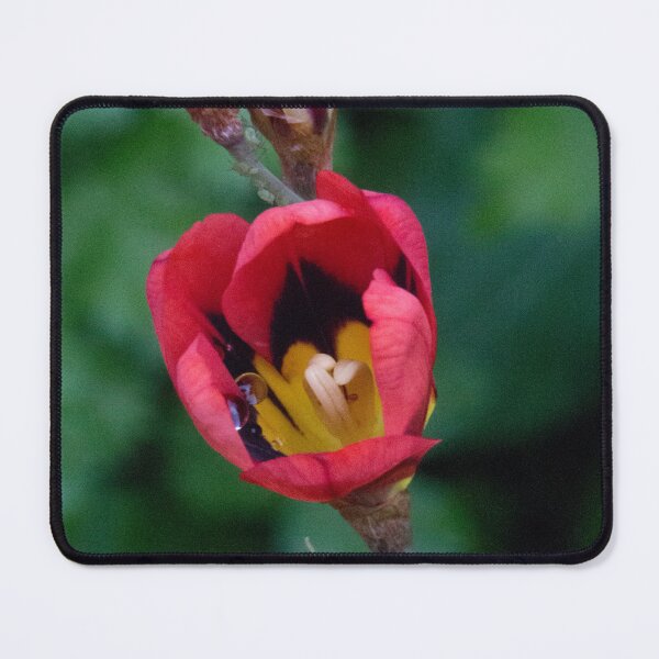 Item preview, Freesia designed and sold by indiafrankk.