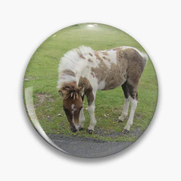 Item preview, A Baby On Dartmoor - Dartmoor Pony Foal designed and sold by lezvee.