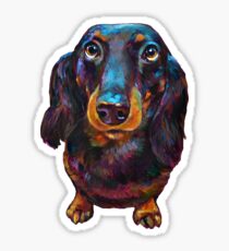 Roxy the Dachshund by Robert Phelps Sticker