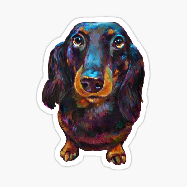 Roxy the Dachshund by Robert Phelps Sticker