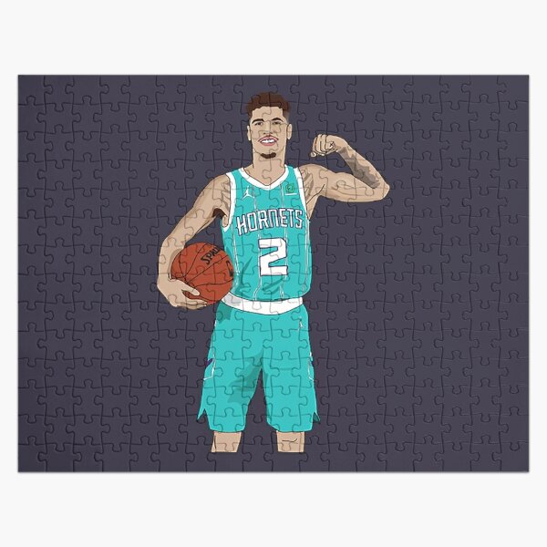 Charlotte Hornets Uniform Concept : r/CharlotteHornets