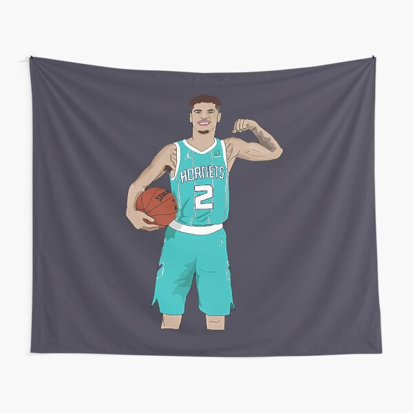 Charlotte Hornets Jersey Concept : r/CharlotteHornets