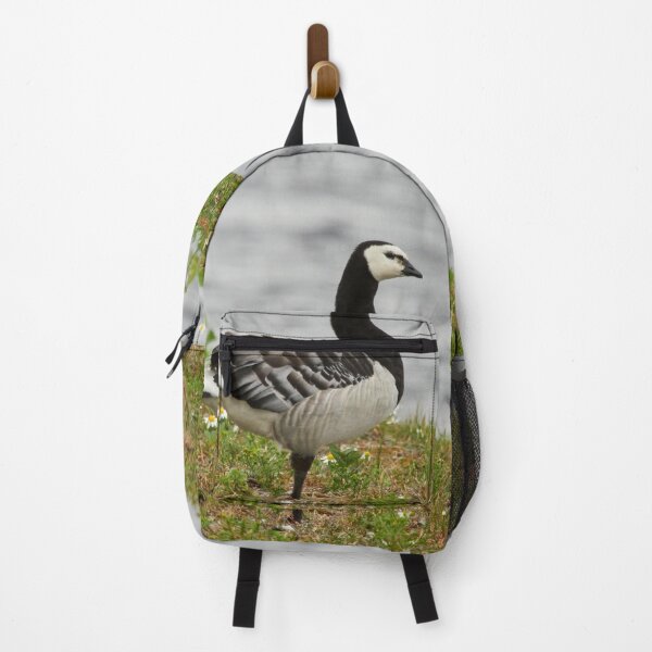 Item preview, In balance. Branta leucopsis, Barnacle goose, Barnacle goose designed and sold by Jouko Lehto Photography.