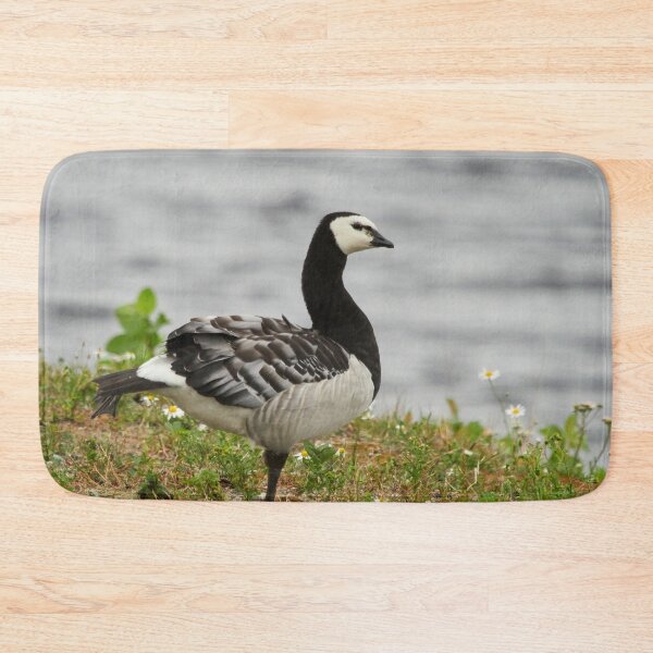Item preview, In balance. Branta leucopsis, Barnacle goose, Barnacle goose designed and sold by Jouko Lehto Photography.